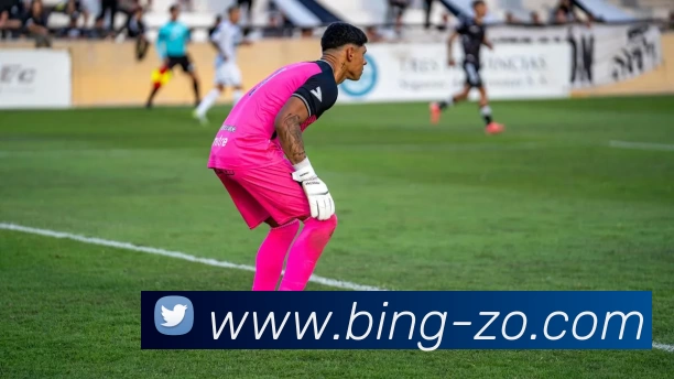 ZO体育平台生态图